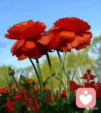 【建立人脉的10大潜规则】

1、想钓到鱼，就要像鱼那样思考;
2、不要总显示比别人聪明;3
、让对方作主角，自己甘愿做配角;
4、目中无人，让你一败涂地;
5、常与人争辩，你永难赢;
6、锋芒太露，下场不好;
7、刺猬原则-保持适当距离;
8、树一个敌，等于立一堵墙;
9、谦虚不虚伪，不苛求完美;
10、失言不如无言。配图