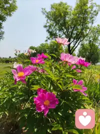 金錢是流動的能量，金錢本身沒有意義配圖