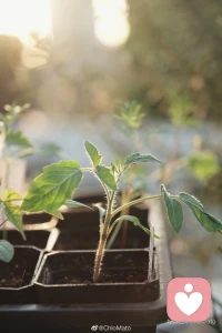 擁有回望深淵的能力配圖