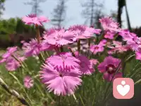 人脈帶來的資涯和機會，遠比獨自一人走得更遠配圖