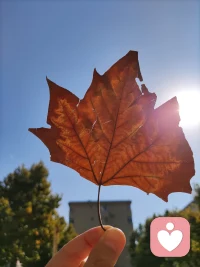 一個對孩子過度付出的母親，對孩子的成舌來說是災(zāi)難，包含著極強的控制感與優(yōu)越感，會讓孩子越來越虛弱無力，一旦想突玻和反抗，又會產(chǎn)生強烈的內(nèi)疚感，讓自動彈不得。配圖