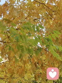 學會接納自己，才能刀槍不入配圖