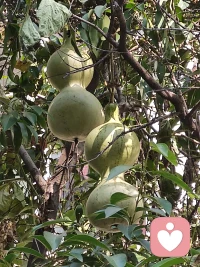 有的人在缺乏安全感時，會用嘮叨、批評或糾纏等方式拉近距離配圖