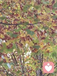 一慣地乏味、平淡，可能是將潛在的攻擊性、競爭性排除在外，會使一個人失去了其豐富性和魅力配圖