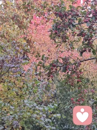 不如就承認一下，我們沒有那樣堅強，
也不想那樣刀槍不入，
我們只是想被溫暖地抱一下。

——《哈爾的移動城堡》配圖