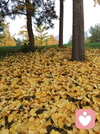 當你猶豫要不要去做一件事的時候，
其實你內心已經有了選擇，
只是你還沒有充足的理由去說服自己。
——東野圭吾《解憂雜貨店》配圖