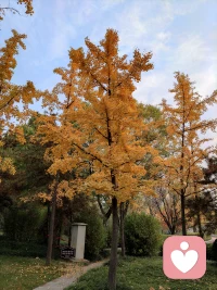 悲傷是我們為愛付出的代價配圖