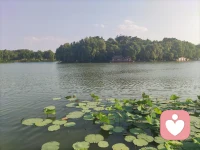 情緒影響記憶配圖