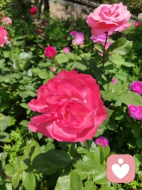 一個孩子怎么成長，一個女性怎么成長配圖