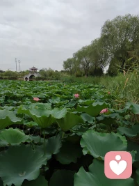 親密關系中，一方越強勢，另一方越冷漠配圖