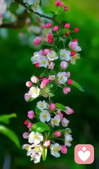 时间过得太快了，转眼一年就剩一个月了，这一年我们给生活多少耕耘，生活就会赐我们多少果实，未来，愿你忠于自己，知足上进，向自己喜欢的东西靠近。
早[咖啡]
​配图