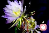 最幸福的人不是拥有一的人，是把一切都当成最好的人配图