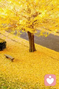 自己先跑起来在路上找朋友，
而不是原地等朋友。配图