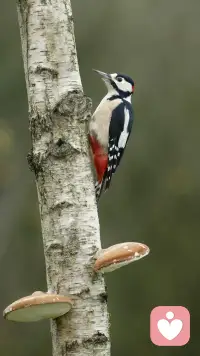 要放下“我执”。似乎要如孟子所说那般:不留恋于世俗烦恼与生来的躯壳，潇洒纵逸于天地间。

要放下骄傲与倔强，磨平棱角才能与社会少些碰撞。

……

在我看来，人生真正要放下的是自己最放不下的。能放下，则蜕变涅槃。配图