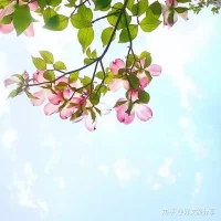 你從80樓往下看，全是美景，但你從2樓往下看，全是垃圾，人若沒有高度，看到的全是問題，人若沒有格局，看到的全是雞毛蒜皮！配圖
