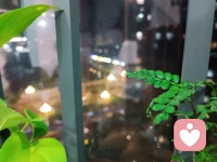把寄與他人的希望收回來放在自己身上，倒也溫馨?！拘呐鋱D