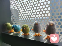 快樂是我們的權(quán)利，不用羨慕別人配圖