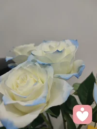 “潛意識正在操控你的人生，你卻稱之為命運。”當你的潛意識被看見、被覺知，你就有機會改寫命運。配圖