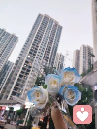 我們每天似乎都在做很多不起眼的決定，但其實，這些小小的決定一直改變著我們，使我們變得更好，或更不好。直到將來某一天，已經被改變了的我們，同樣做出一個小小的決定，那將徹底改變我們的一生。配圖