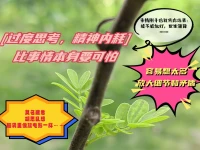 過度思考、精神內(nèi)耗……比事情本身要可怕：給自己時間與空間，承認(rèn)自己當(dāng)下的負(fù)面情緒，針對問題寫出解決方案～～還可以約我進(jìn)行傾述。配圖