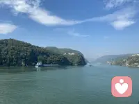 人之所以內耗，是因為：
?還沒開始行動，就想東想西把自己折騰一遍。
?剛開始行動，就猜想各種結果，又把自己折騰一遍。
?事情做完了，后悔這沒做好那沒做好，再把自己折騰一遍。配圖