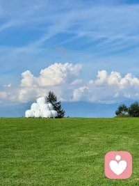 只有一個內在豐盈，有德有能的人，才能夠吸引到好伴侶，并能夠和好伴侶長期走下去。???配圖