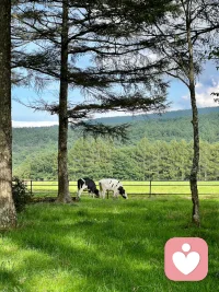 當一段關(guān)系進入了討好模式，就沒有辦法建立真正的關(guān)系。???配圖