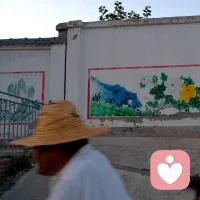 當我們習慣了偽裝，真相就在背后默默生長配圖