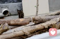 跟心里的“小怪獸”和解配圖