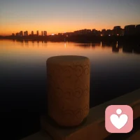 跟一个朋友谈到生活摧残下的各种“隐忍”，最后我说“忍过阴云密布荆棘丛，总有向阳玫瑰带血开”。在当时的语境下，竟然“看上去挺美”。