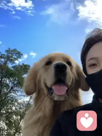 狗狗的世界只有兩件事，陪你和等你，它是你人生中的一部分，而你卻是它的一輩子。其實，不是我們養了寵物，而是寵物治愈了我們，讓我們在這雞零狗碎的日子里，體會更多的溫暖和快樂[呲牙]配圖