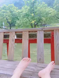 時光清淺處，一步一安然
人間何所以，觀風與月舒

清淡的日子，隨遇而安的心，好起來的從來不是生活，而是自己的釋懷…愿看盡人間繁華，仍溫潤如初[一起加油]配圖