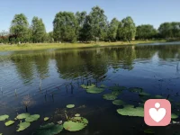 在人際關系中，總是無法劃清自己和別人的邊界。你的不拒絕，讓別人形成了習慣，當你處于“拯救情結”之中時會變得容易過渡承擔他人的責任。所以保證界限要不含敵意的勇敢說不。如果不想被影響，就要拒絕，有話直說，拒絕不是罵人。拒絕不需要理由，不想、不要、不愿意就是理由。把別人的責任還給別人。不要用自己的人生為別人的感受負責。配圖