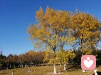 父母的語言是有魔力的這些話每天都跟孩子說一說激勵孩子積極向上的6句話：1.