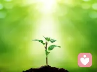 心理學家衛(wèi)?埃爾凱特說：無論一個人的生活環(huán)境如何，做父母的需要給孩子兩樣——根和翅膀。
如果說良好的家境是根，那么養(yǎng)成積極樂觀、堅韌執(zhí)著、有教養(yǎng)的品格則是翅膀。給孩子講再多道理，都不如他親自去歷練、去嘗試，去體味受挫的心境，去思考該何去何從。配圖