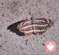 心安理得并不值得標榜和追求，過度的清白感也可能是回避問題的表現。配圖