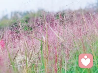 情緒是沒有好壞之分的，它只是在預警，告訴我們需要去感受它并且看清它背后的需求。配圖