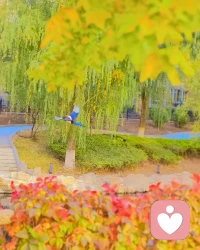 當我們在說服別人時，不必過分強硬的否定，不妨把想不想做變成如果我們做了劃不劃算。腦袋正常會算帳的人，自然會思考哪個選擇對自己最有利。配圖