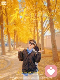 一陣秋風(fēng)一陣涼，一層落葉一層黃。配圖