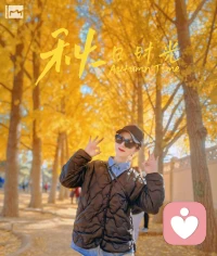 一陣秋風(fēng)一陣涼，一層落葉一層黃。配圖