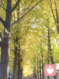 年輕的時候，我們要學會如何感受別人在意別人，而年齡越來越大后，我們要學會的是如何忽視別人屏蔽別人。配圖