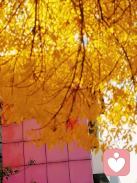 最近很無聊，在聽無聊齋。配圖