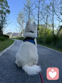 身邊的親人讓你不舒服時，恰恰是在給你發現自己成長自己的機會。猛然間，發現原來是這樣，這也許就是悟的感覺吧。配圖