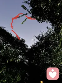 迎着日出去站桩，打通全身血脉，暖烘烘。世间早晨的阳光最治愈，不信你试试配图