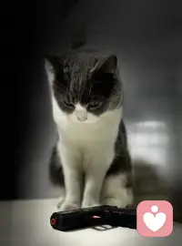 雖然我一直反對給青少年用藥，但如果軀體癥狀非常明顯且嚴重，還是需要在心理咨詢的同時進行藥物控制。

大腦在長期過渡壓力下產生的化學物質會損傷大腦從而改變結構，這個程度的問題，在心理咨詢的短期內效果是達不到的…

最好的選擇就是不要等到軀體癥狀嚴重了再來咨詢…關注內在，關注自己[合十]配圖