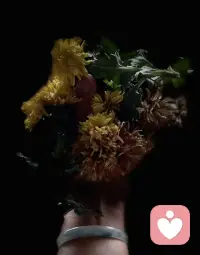 受苦比解決問題來得容易，承受不幸比享受幸福來得簡單，這符合人類不愿動腦的天性，因為解決問題需要動腦，享受幸福也需要動腦平衡各種微妙的關系，而承受痛苦則只需呆在那里不動。
——海靈格配圖