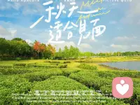 情緒，不會因你的壓抑就消失，也不會削弱它的能量。配圖