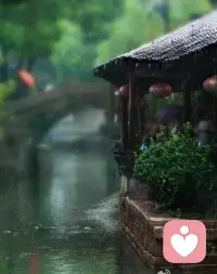 修行只是讓自己放松下來，不再對抗，習慣那種不確定性并安住于此，有人也把這稱為自在。
——《次第花開》??配圖