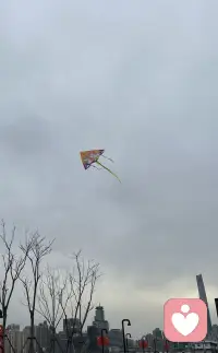 如果把關愛的范圍擴大，由己及人及眾生，那就是慈悲了。如果把求知的深度延展，由物而心，那就是智慧了。??配圖