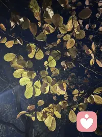 如果别人不给你浪漫，你可以给他浪漫呀。配图